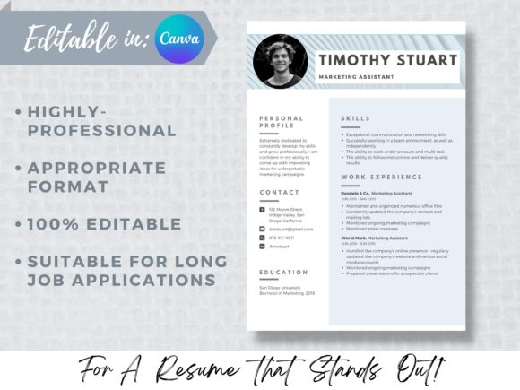 Download Resume Template Professional Resume 2022 - Resume template Collection