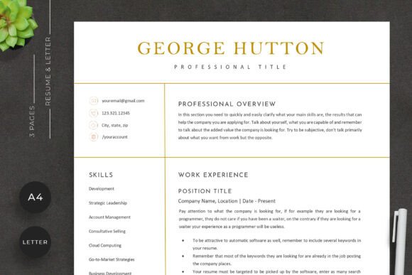 Download Modern Minimal Resume Template - Resume template Collection